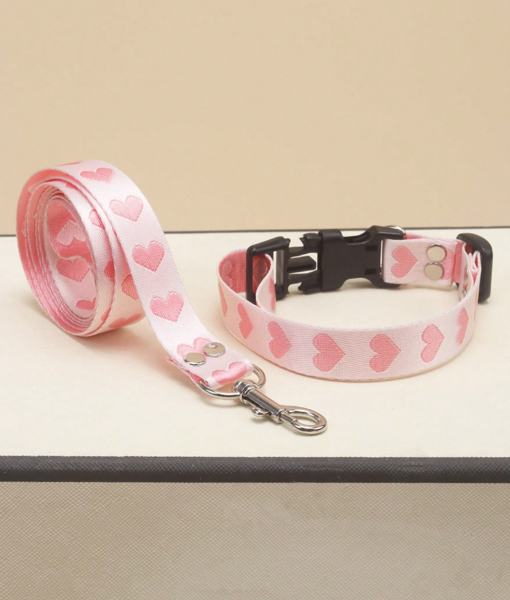 Set de collar + paseador