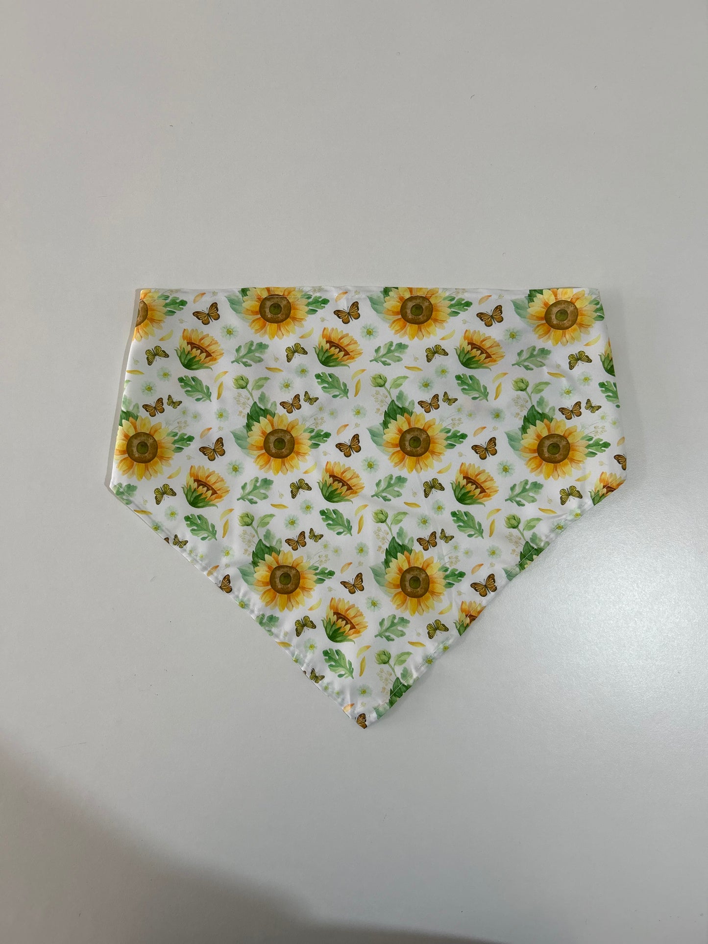 Bandana - Medium