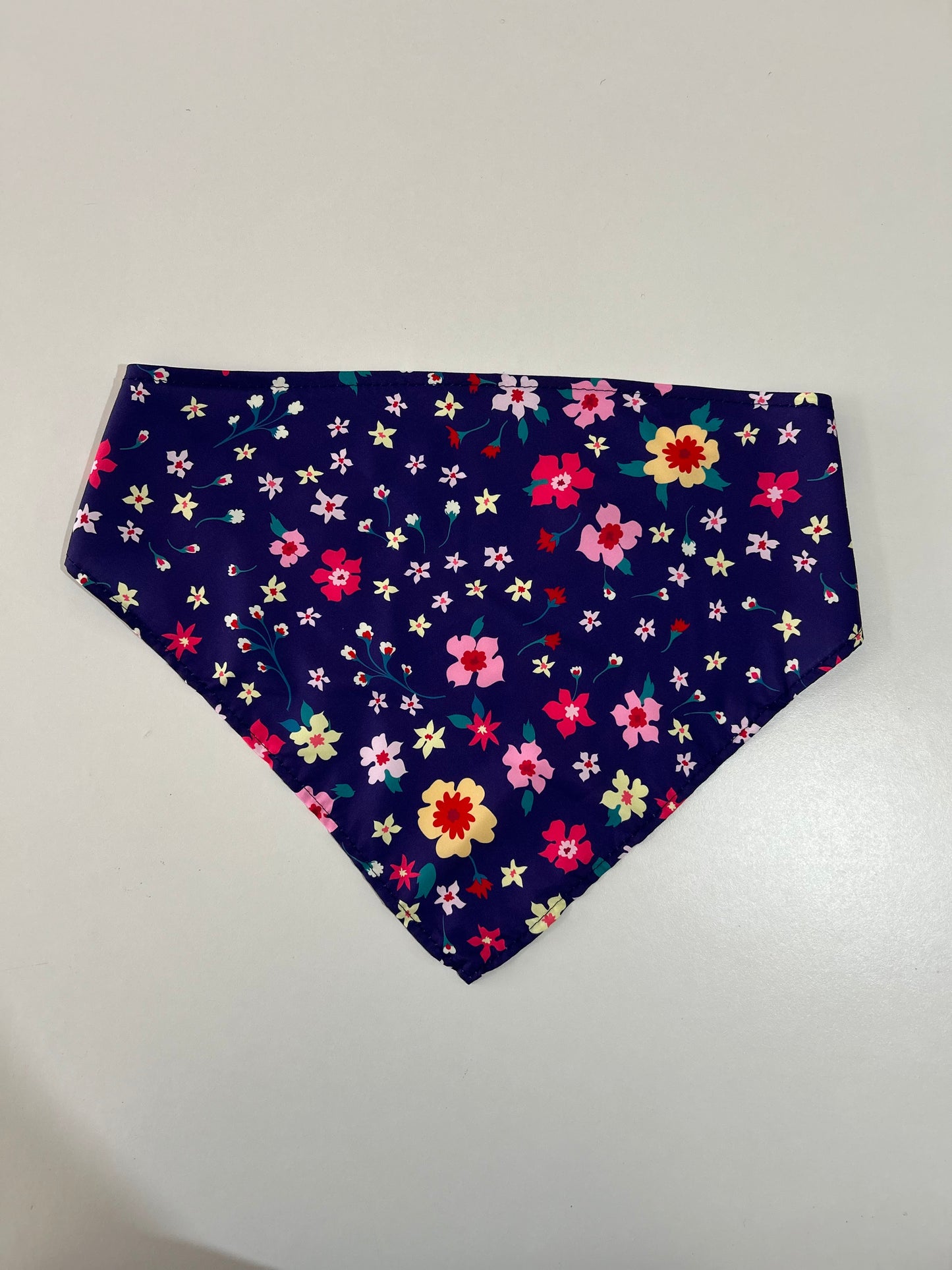 Bandana - Medium