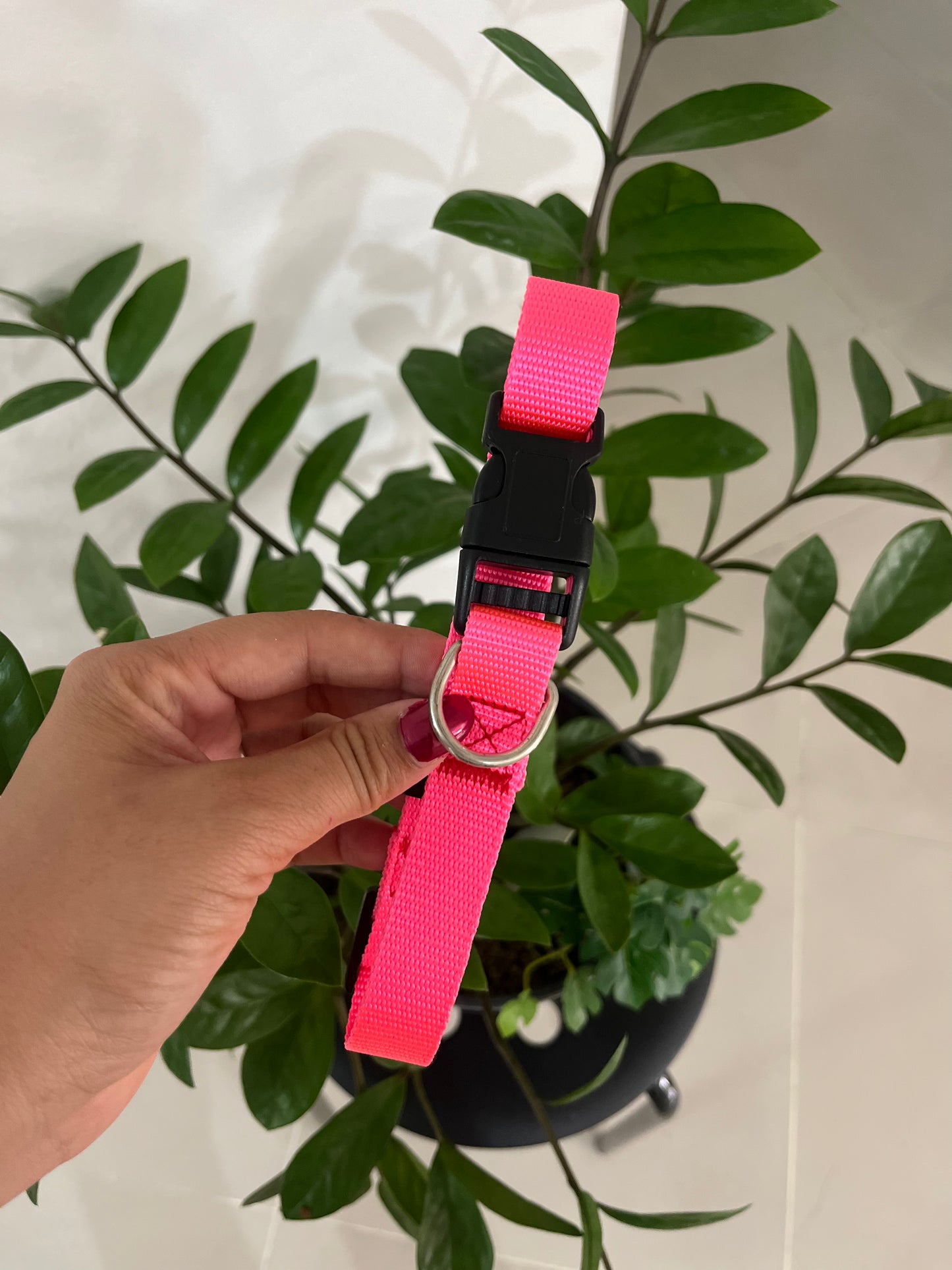 Collar Liso Ajustable Medium
