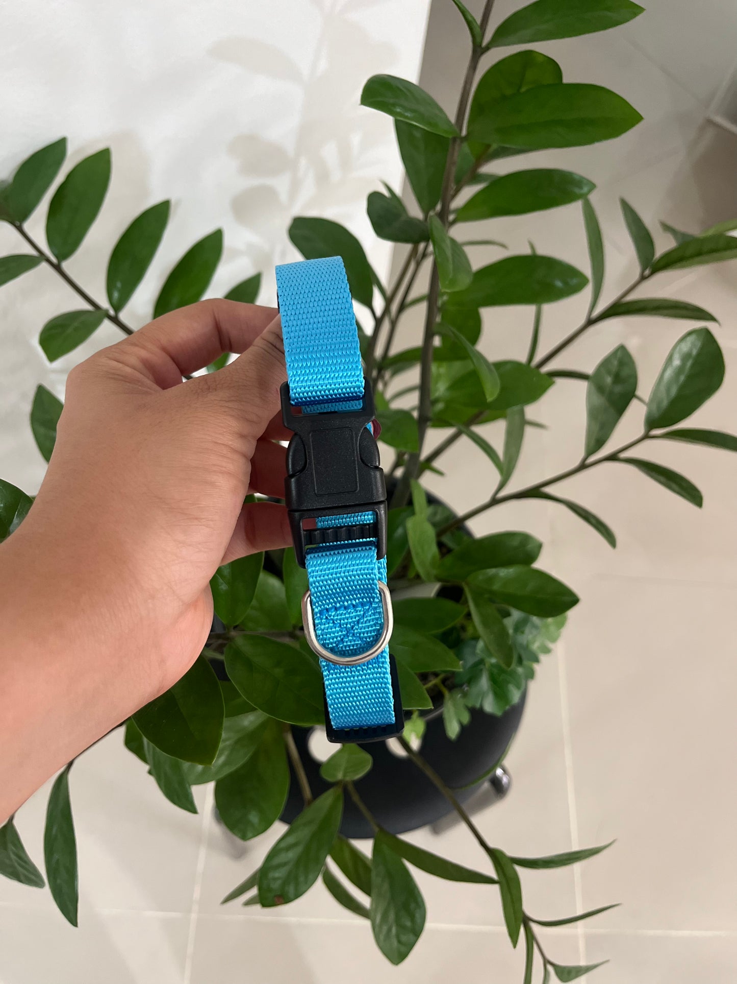 Collar Liso Ajustable Medium