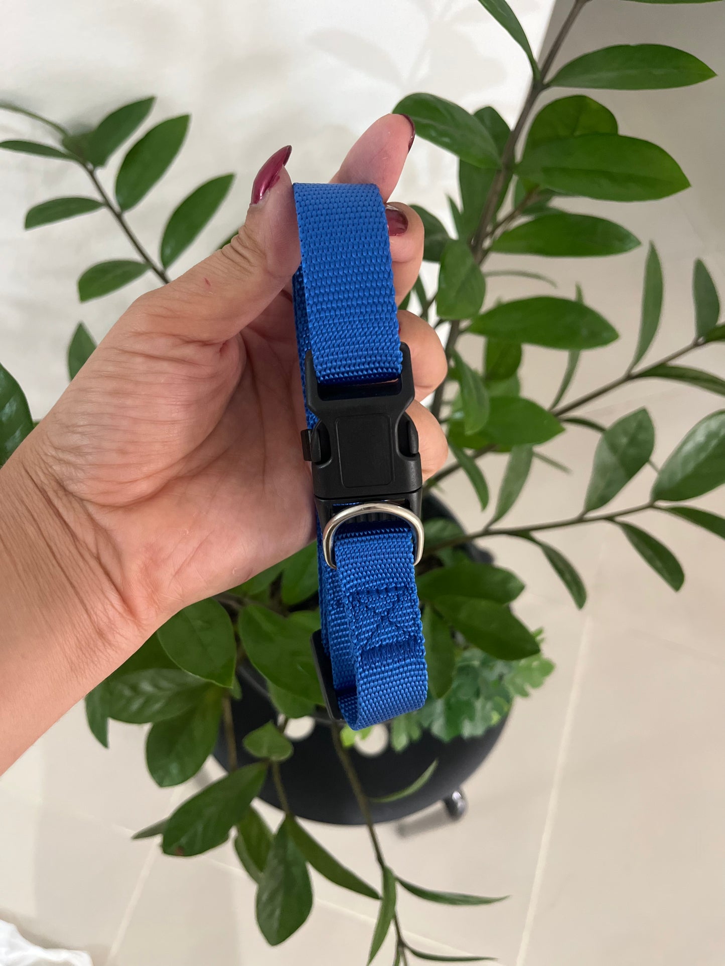 Collar Liso Ajustable Medium