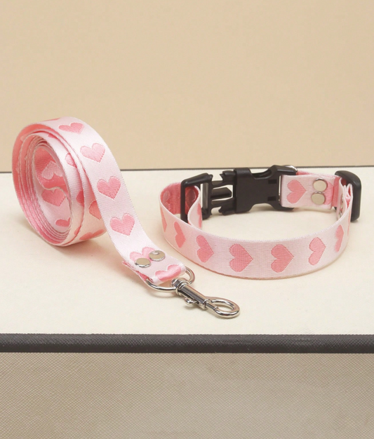 Set de collar + paseador