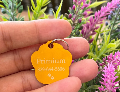 Plaquita Personalizada Patita