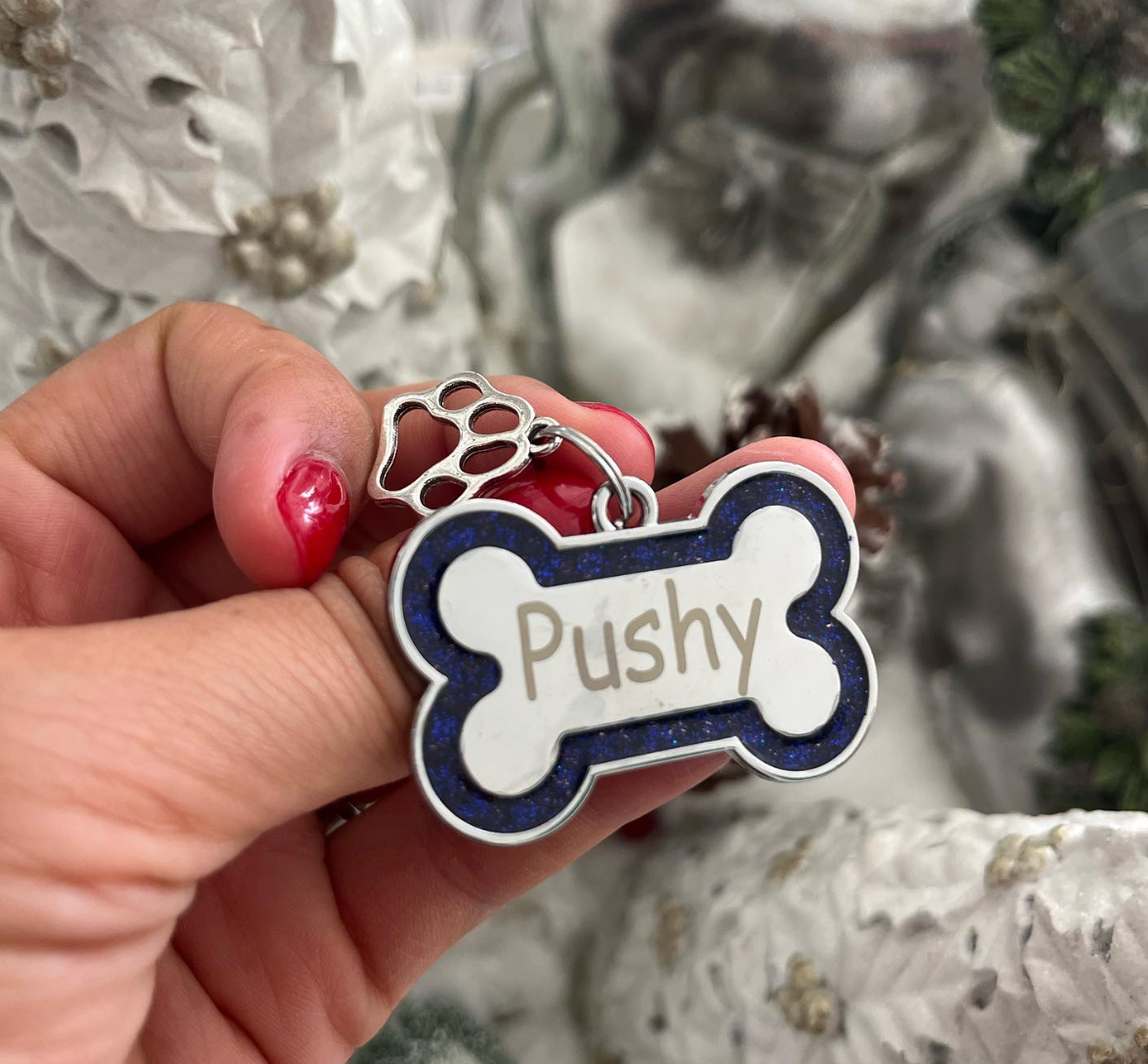 Plaquita Personalizada con Brillo Hueso