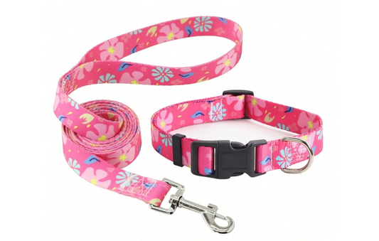 Set Floral de collar + paseador