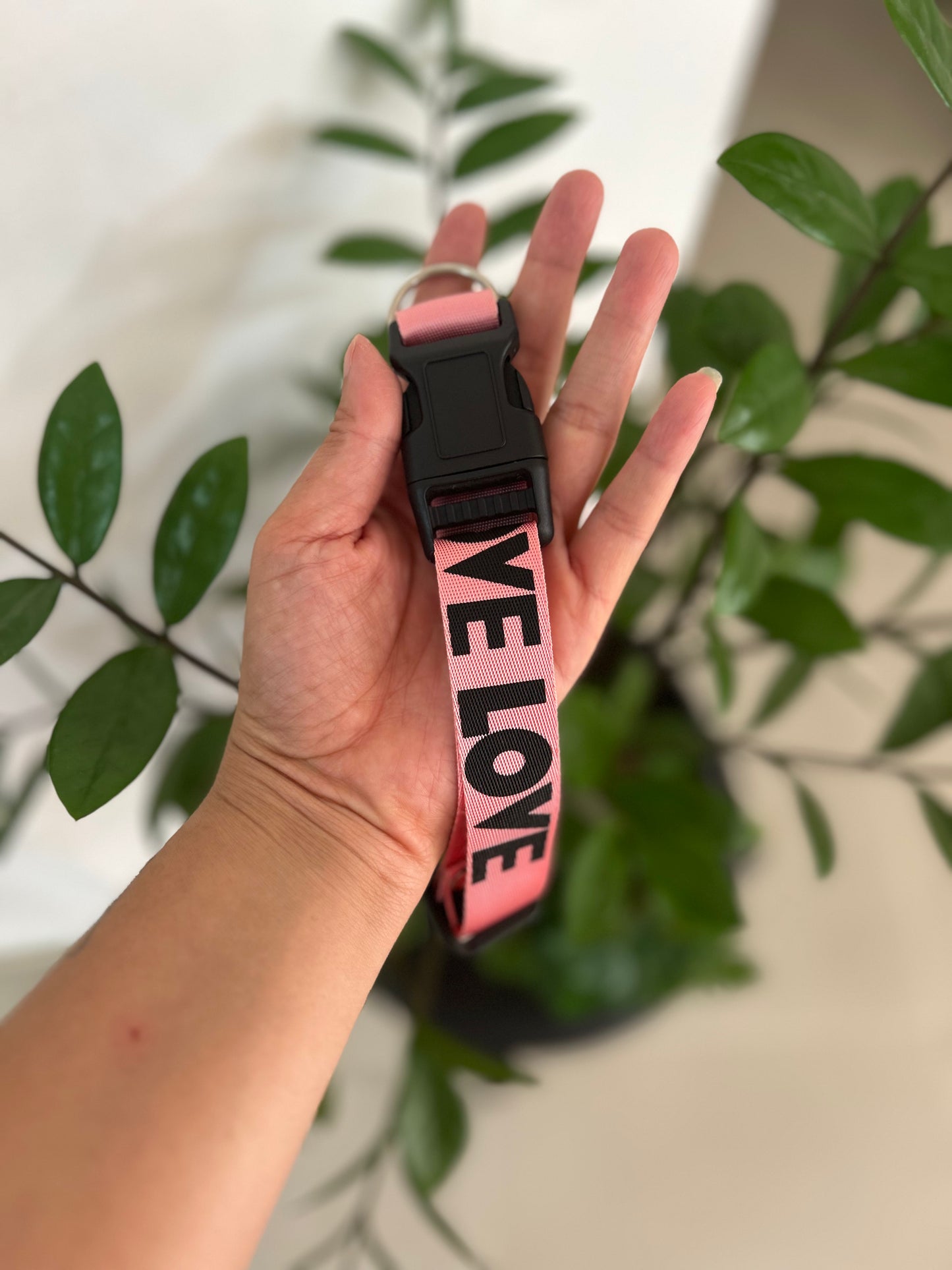 Collar Love