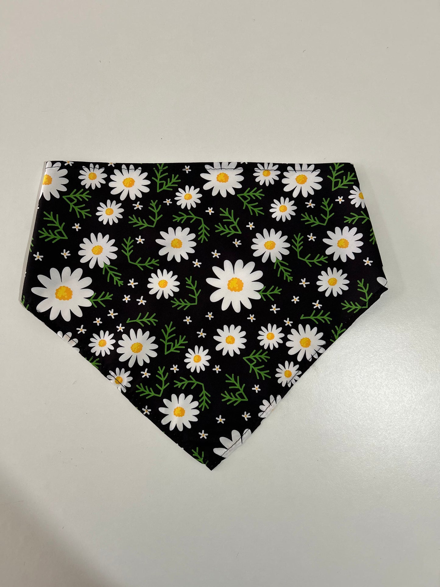 Bandana - Medium