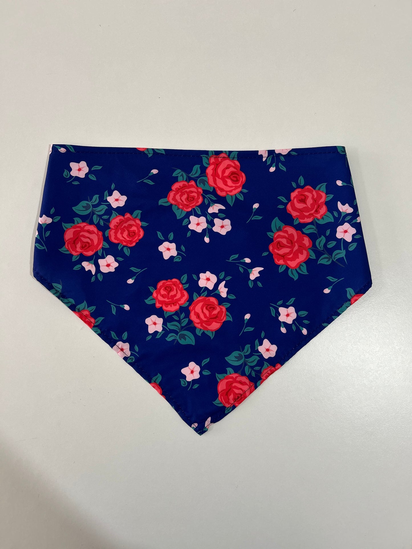 Bandana - Medium