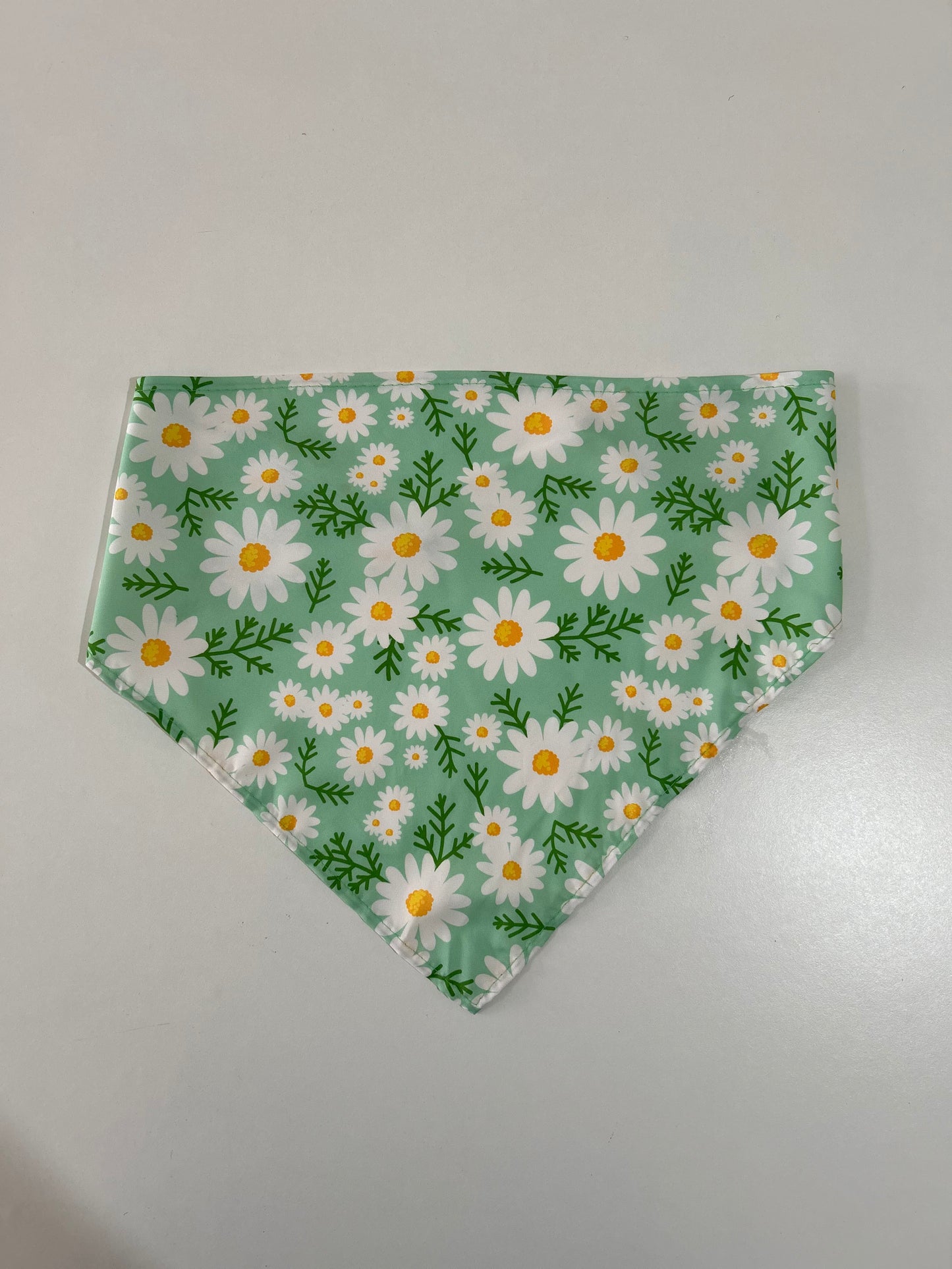 Bandana - Medium