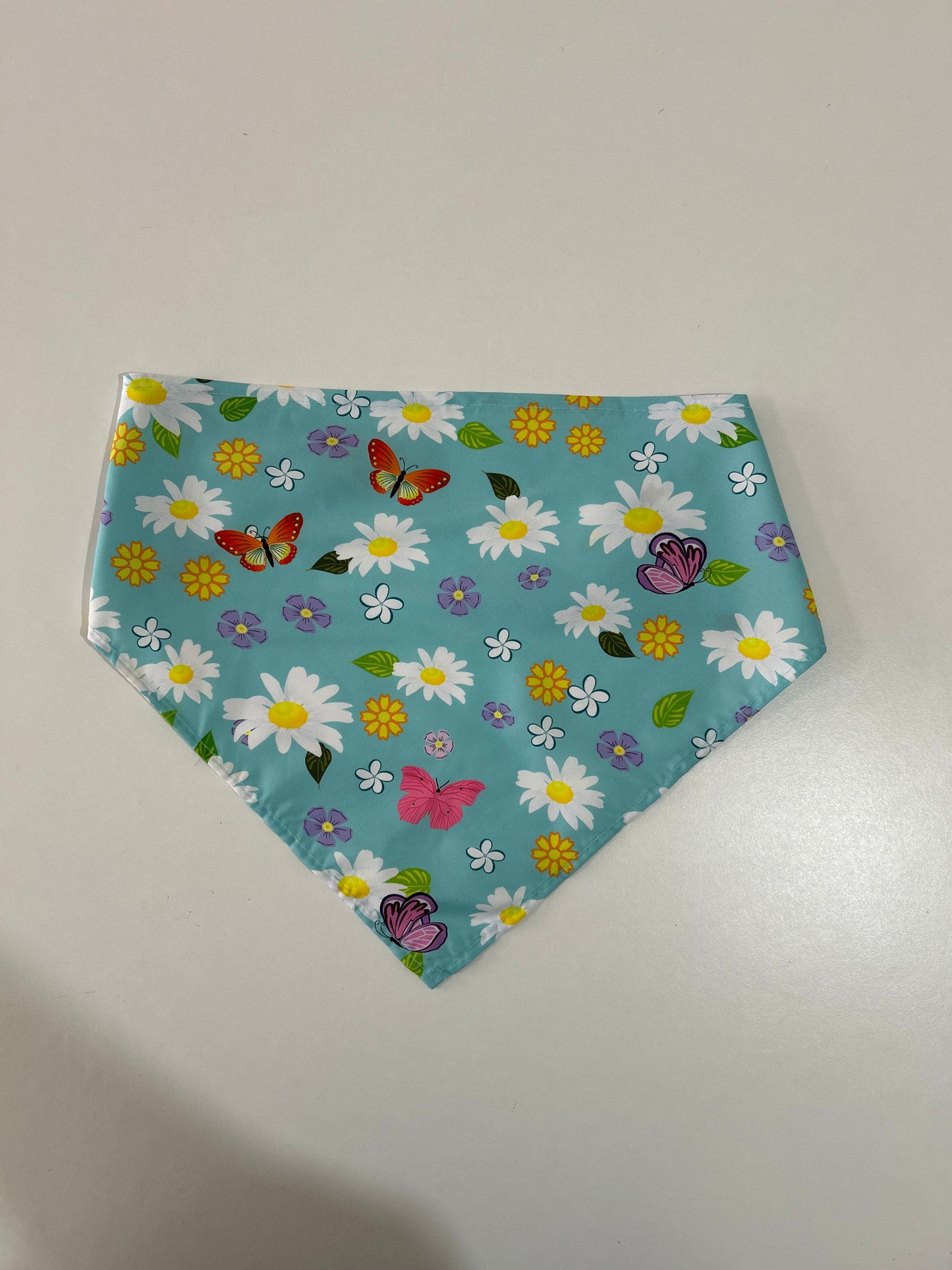 Bandana - Medium