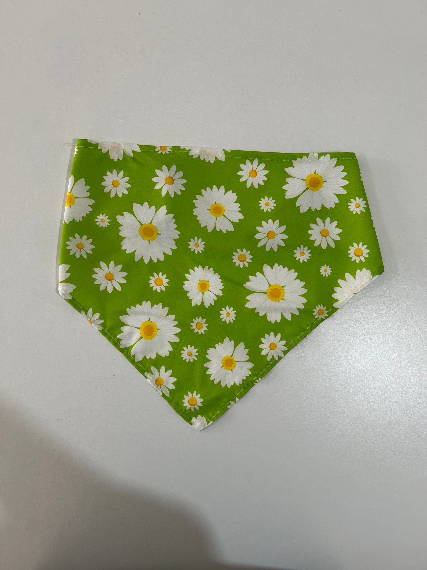 Bandana - Medium