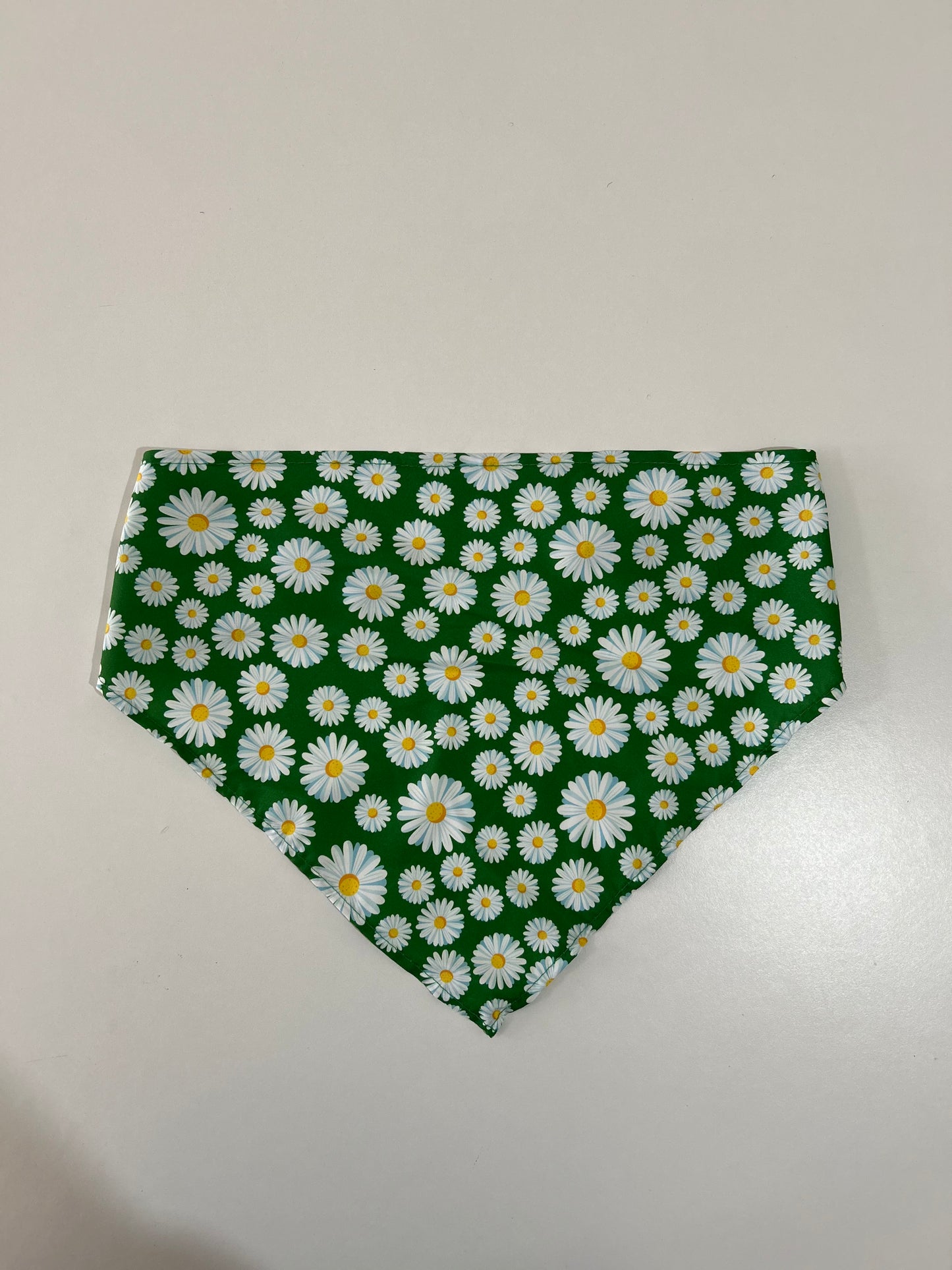Bandana - Medium