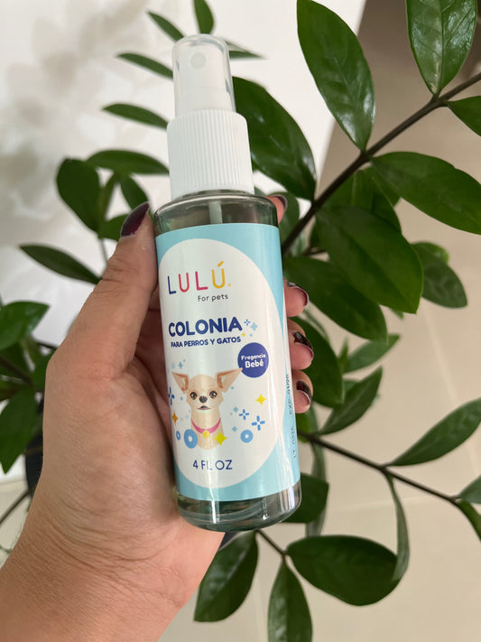 Colonia Fragancia -  Bebé