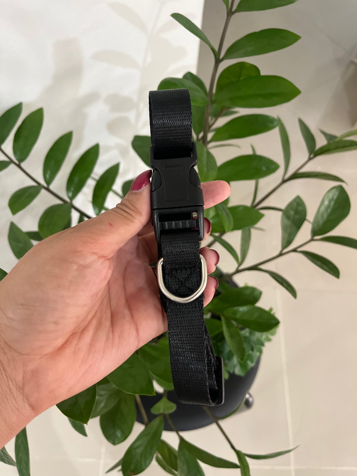 Collar Liso Ajustable Medium