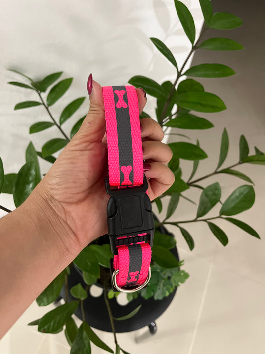 Collar Neon