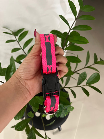 Collar Neon
